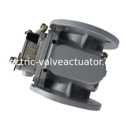 Хорошая цена. Оригинальное газовое реле EMB BF80 10 09-1.25.28.41.0213 онлайн